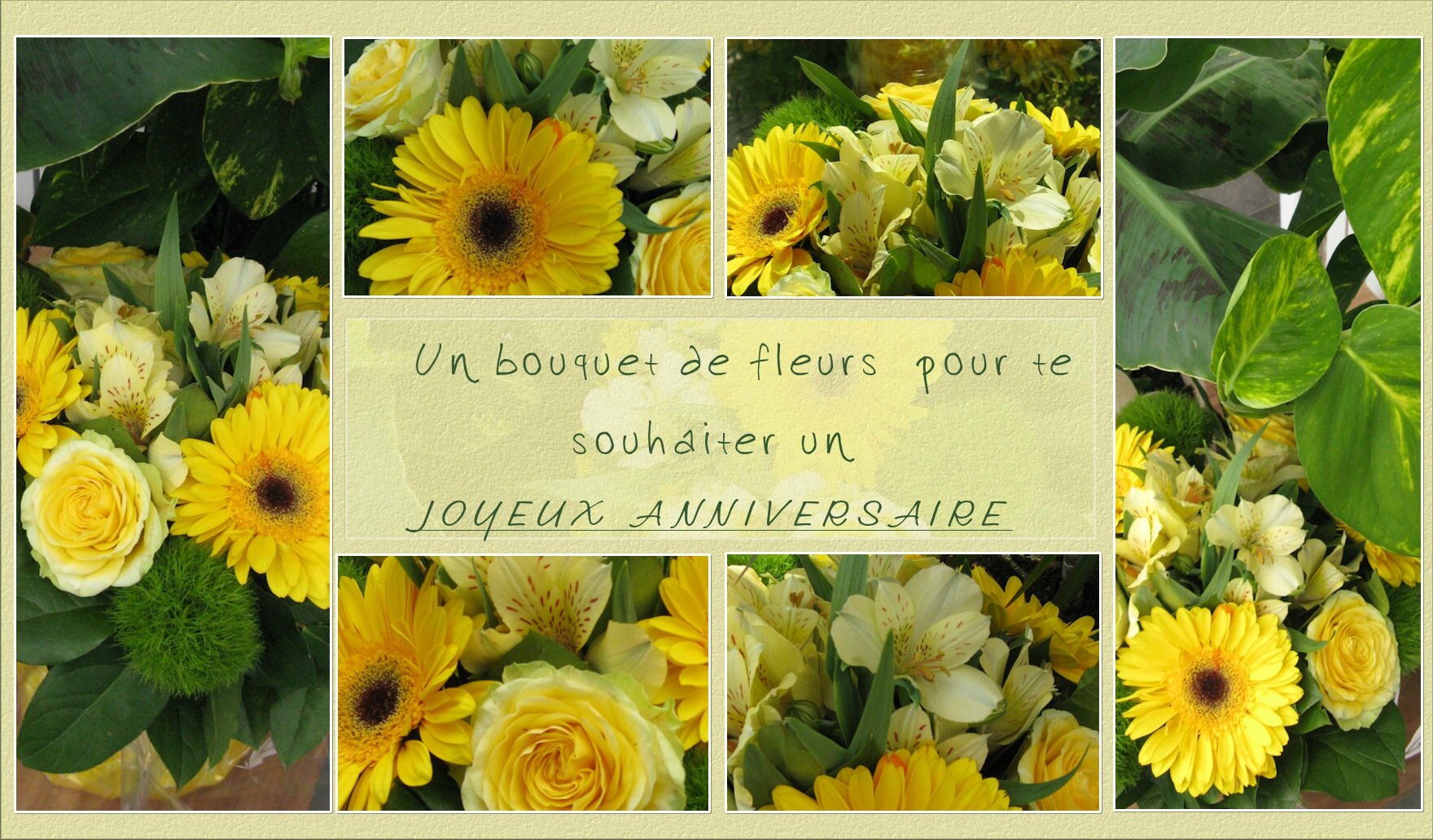 Fleurs Tous Les Messages Sur Fleurs Page 3 Et Fee De Scrap