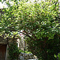 P1020794 (2)