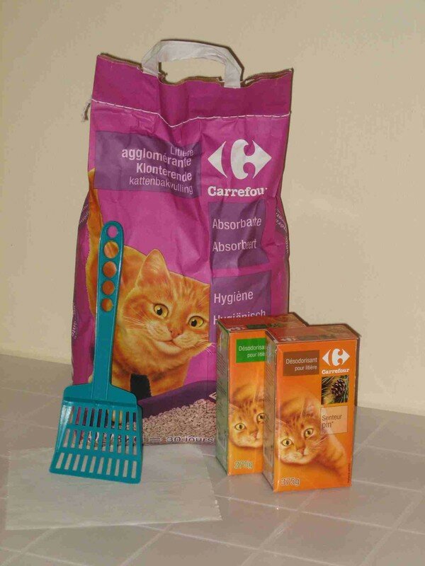 Les Accessoires D Hygiene Pour Chat Cookies Notre Chaton Tahitien