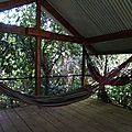 DSC08554