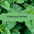 1 ortie(2)Cake aux orties