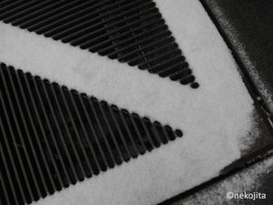 IMG_1121d