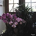 IMGP8220
