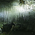IMG_6790