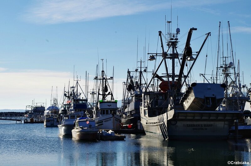 Bellingham Port