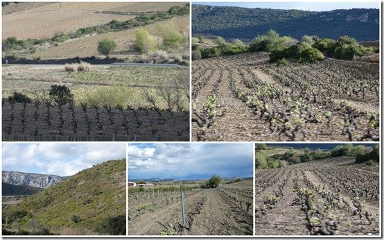 Leucate et les Corbières et le Mas Amiel5
