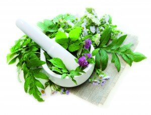 Fournisseur-extraits-plantes