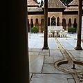 P1190655