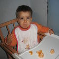 WO - Fin novembre 2008