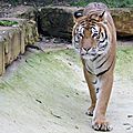 Amneville zoo 3