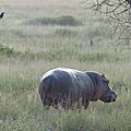 P1140976