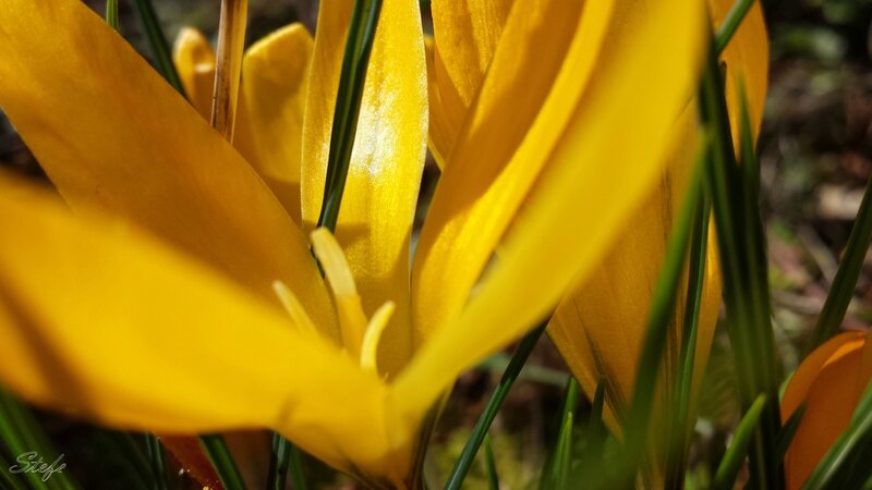 20140224_134453