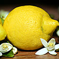 Huile essentielle de citron : purificateur de l'air intérieur