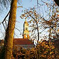 IMGP0208
