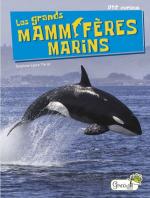 les-mammiferes-marins