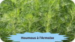 30 AARMOISE(3)Houmous à l'armoise-modified
