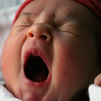 yawnlol