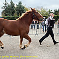 foire