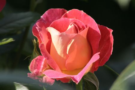 3_mai_2007_204