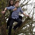 Twilight, un nouvel harry potter ?
