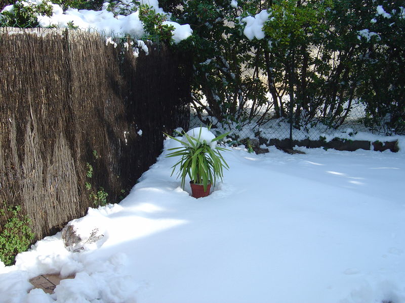 DSC00638