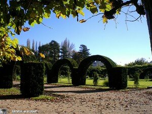 Arceaux_topiaires
