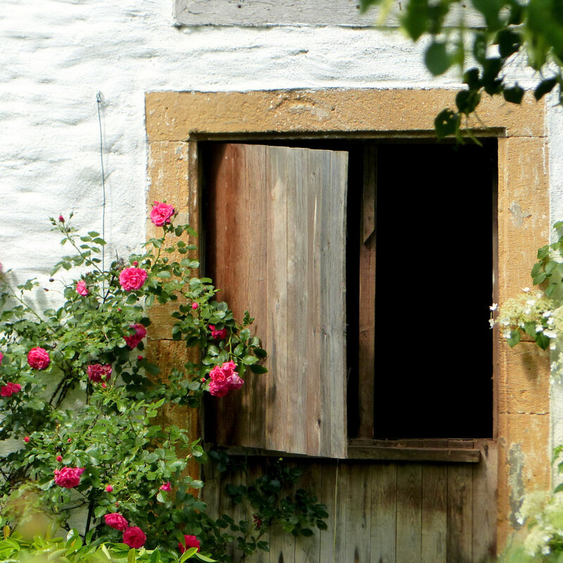A PORTE FENETRE GRANDE GRILLES VASQUES FLEURS81