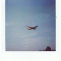 avion
