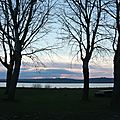 IMG_1350