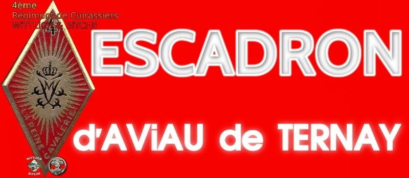- PANNEAU d' ESCADRON CAPiTAiNE d'AViAU de TERNAY