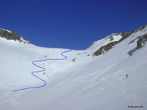 col_d_arrious