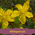 23 MILLEPERTUIS