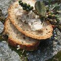 Rillettes de lapin aux parfums citronnés (Saveurs Sucrées Salées)