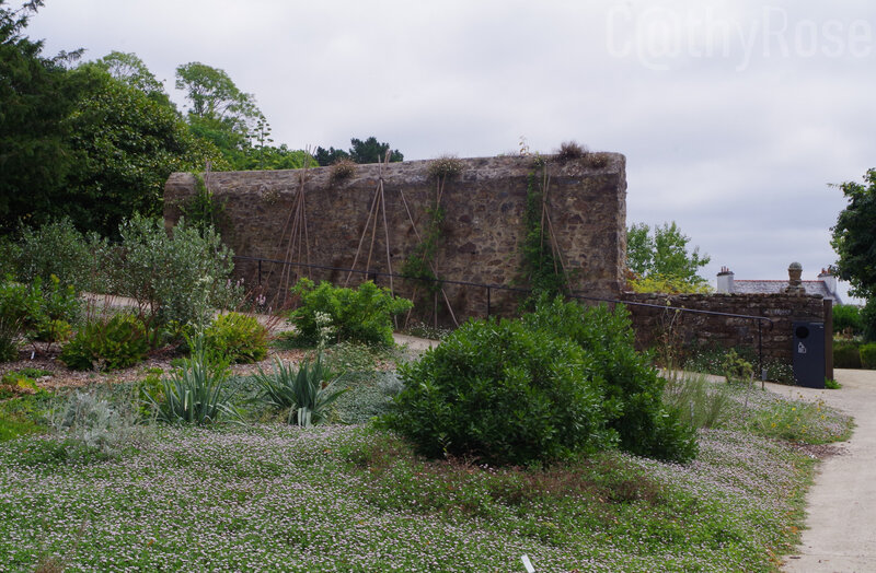 && jardin (1)