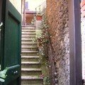 PORTOFINO Petite rue en escalier