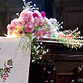 IMGP5884