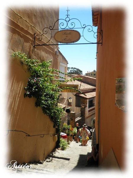 Bormes_les_mimosas23