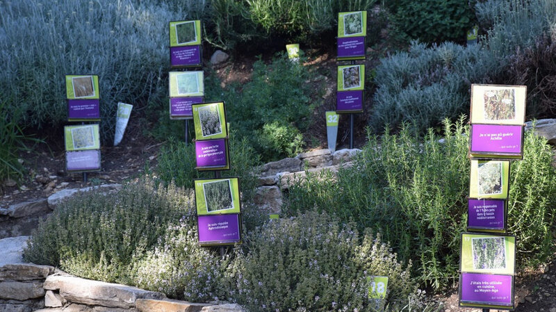 Plantothèque