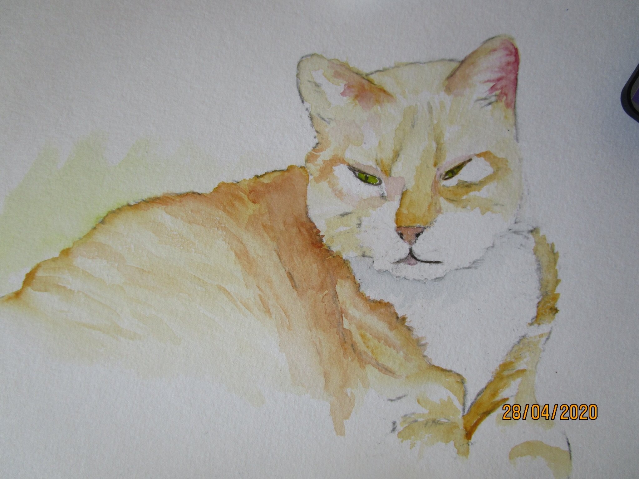 Mon Chat Tigrou A L Aquarelle Domi Dessins Et Peintures