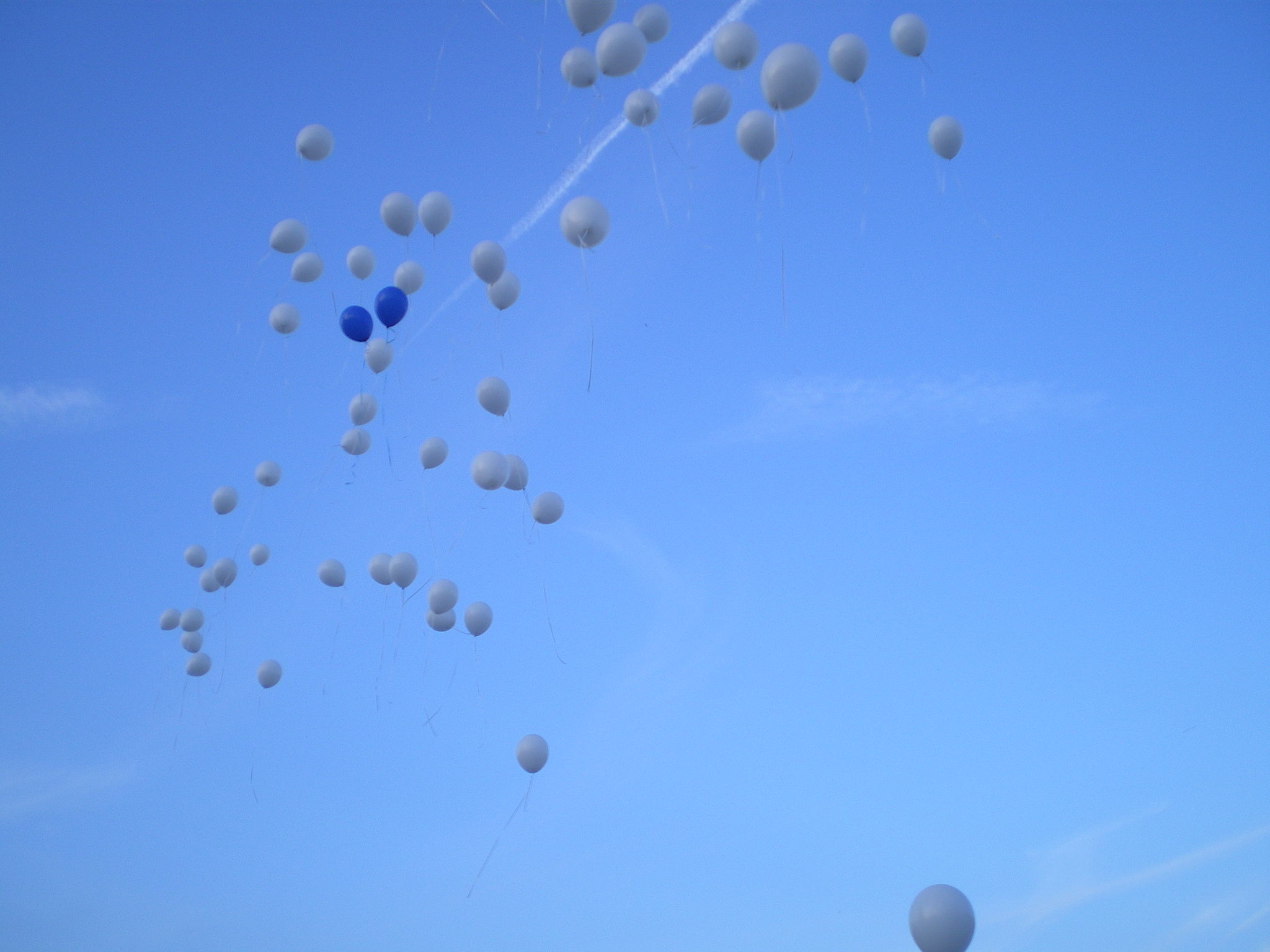 Chanson Beaucoup D'amour Du Soleil Du Ciel Bleu Ce fut un très beau Mariage! - BIENVENUE CHEZ DODOVANILLE