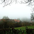 IMGP2187