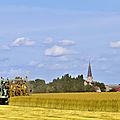 IMG_3376
