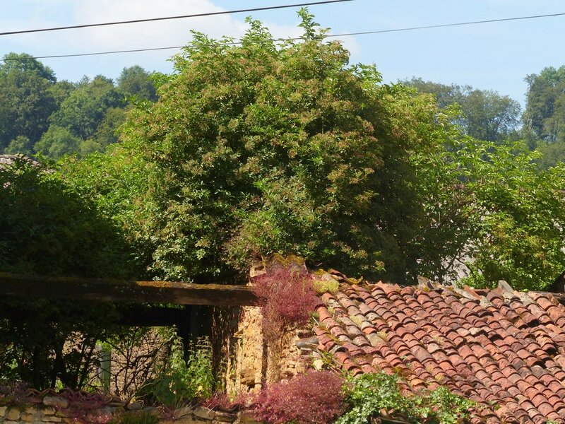 P1470419