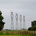 _IGP8303