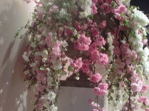 IMG01112-20130121-1437