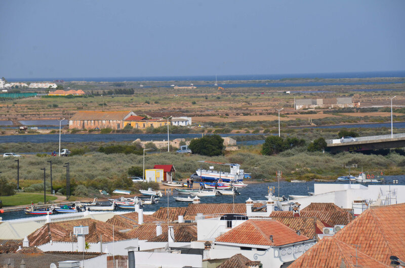DSC_5296;