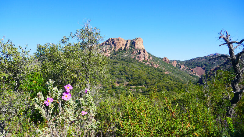 P1120279