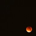Blood moon *