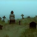 Nosferatu, fantôme de la nuit (nosferatu : phantom der nacht) (1979) de werner herzog