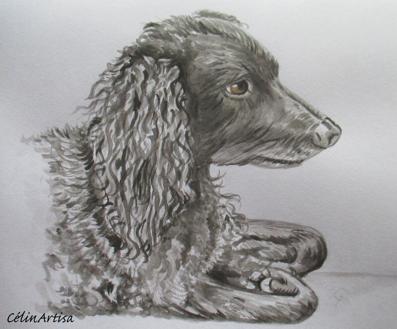 Chaman, le chien (illustration)
